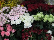 「花のオカダ」　（滋賀県野洲市）の花屋店舗写真3