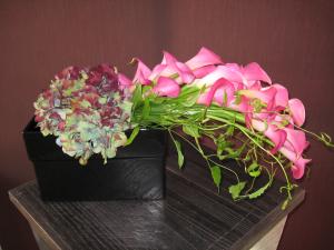 初夏を感じます。。。｜「花のオカダ」　（滋賀県野洲市の花キューピット加盟店 花屋）のブログ