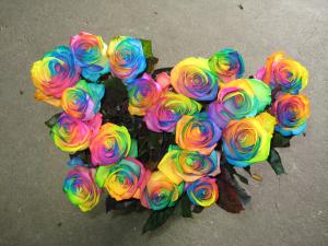 やっとぉ・・・・・・・＾￥＾｜「花のオカダ」　（滋賀県野洲市の花キューピット加盟店 花屋）のブログ